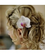 Orchidée, Coiffure de mariée